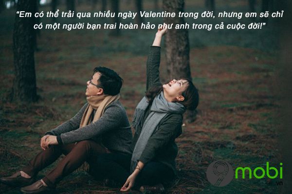 Lời chúc ngày Valentine cho bạn gái, tin nhắn Valentine lãng mạn
