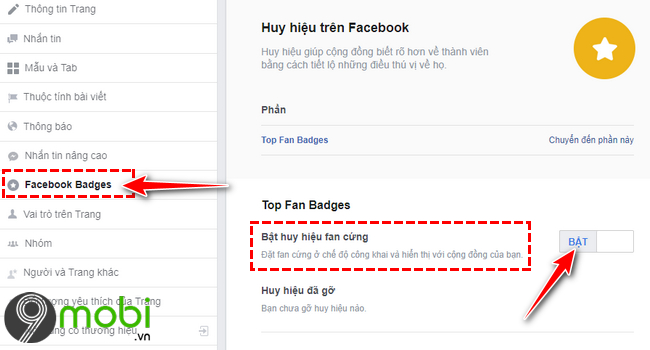 bat Huy Hieu fan provides facebook fanpage