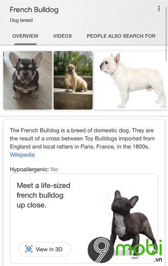 loi google 3d animals