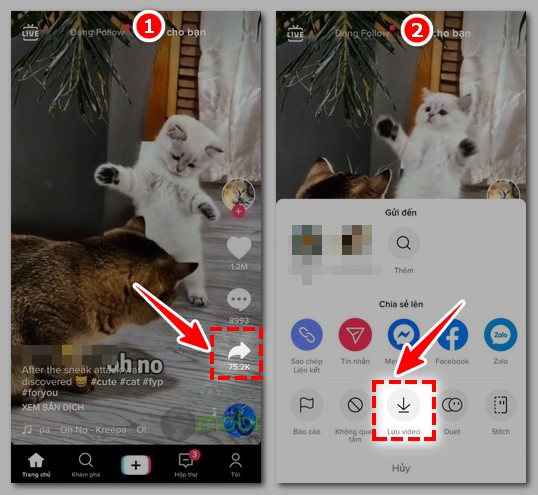 Top 3 cách tải Video TikTok không logo trên điện thoại