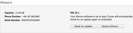 Hạ cấp iOS 10.1 beta xuống iOS 10 như thế nào