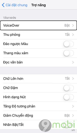 voiceover on iphone