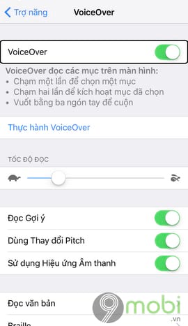 voiceover on iphone